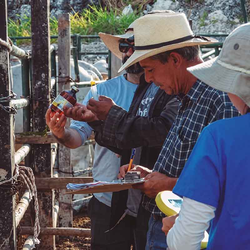 trusot agrotechnology ganaderia 01